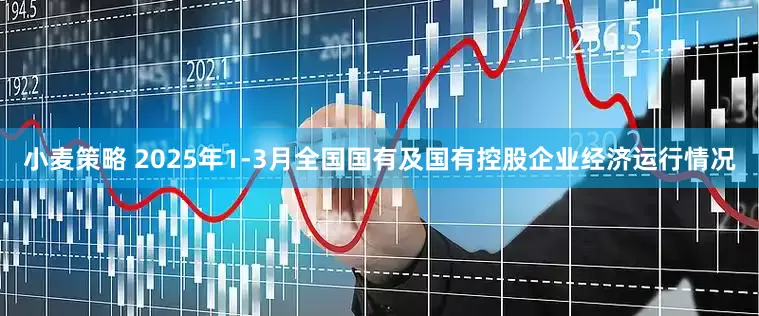 小麦策略 2025年1-3月全国国有及国有控股企业经济运行情况