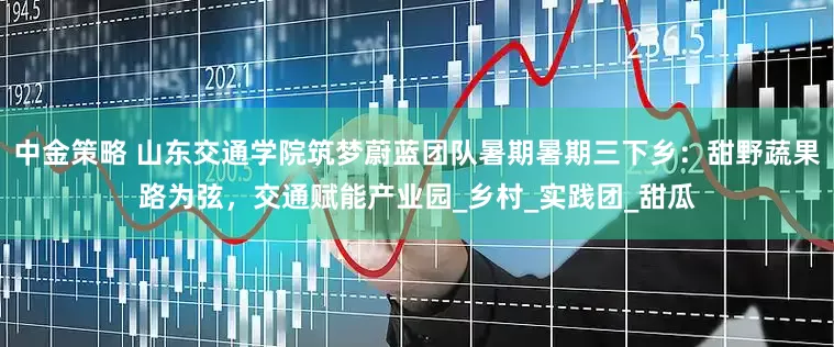 中金策略 山东交通学院筑梦蔚蓝团队暑期暑期三下乡：甜野蔬果路为弦，交通赋能产业园_乡村_实践团_甜瓜
