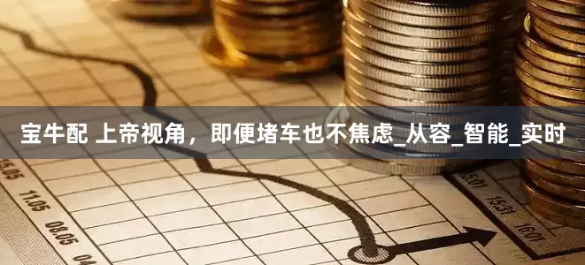 宝牛配 上帝视角，即便堵车也不焦虑_从容_智能_实时