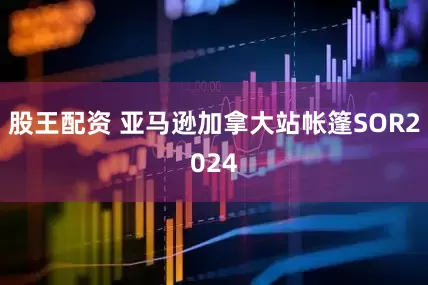 股王配资 亚马逊加拿大站帐篷SOR2024